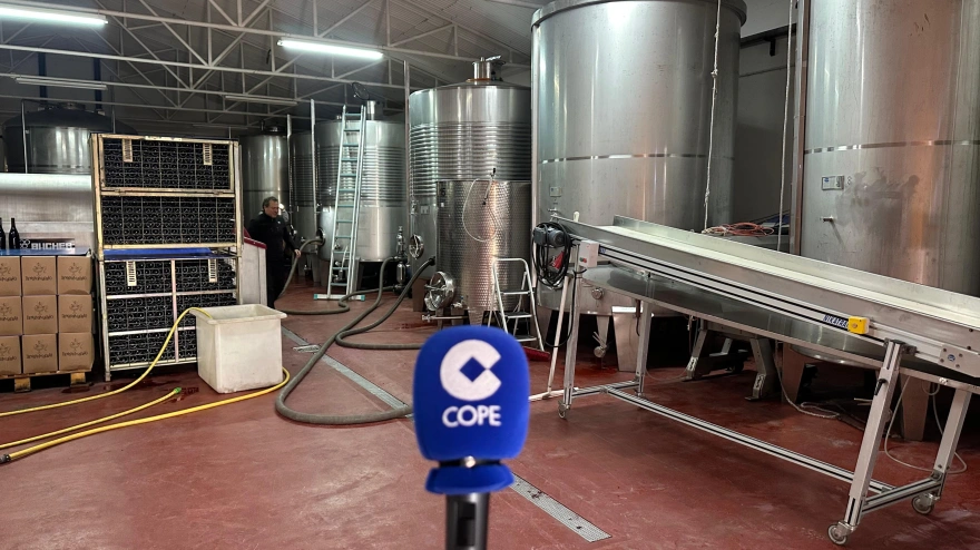 El sector del vino en Castilla y León estalla contra la burocracia y lanza sus peticiones en clave electoral: "Nos está comiendo"