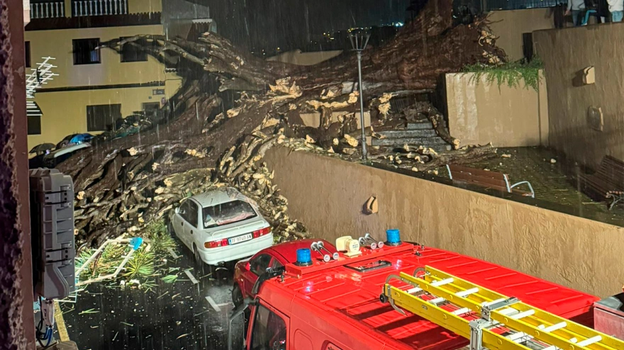 Caída del drago de San Francisco