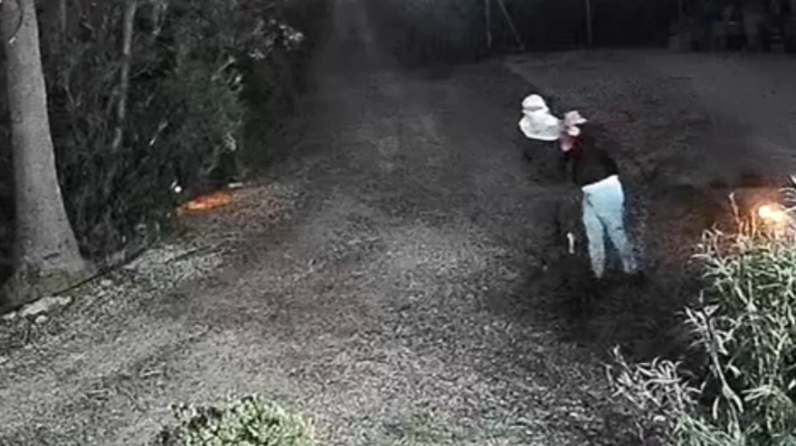 Imágenes de los ladrones captadas en cámaras de seguridad