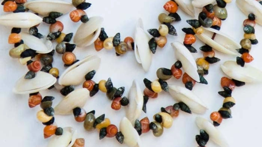 Collar de conchas de mar