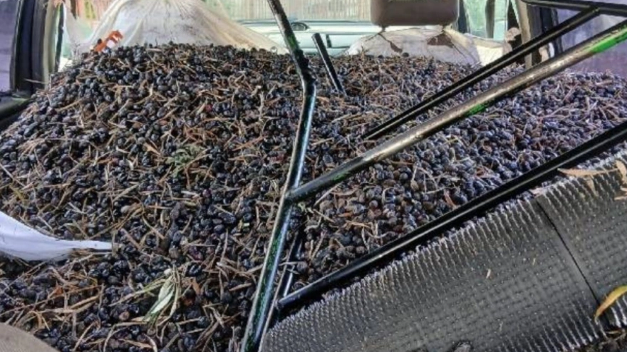 Vehículo intervenido durante el operativo