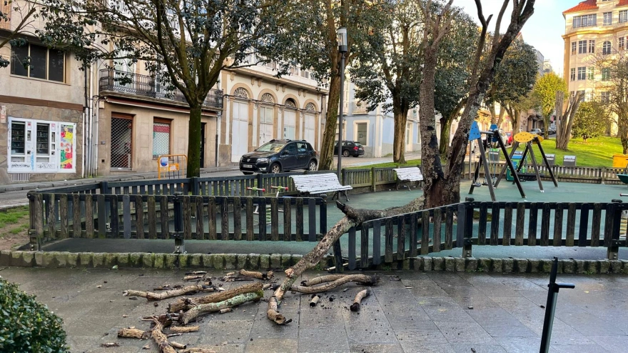 La rama afectó al cierre del parque infantil