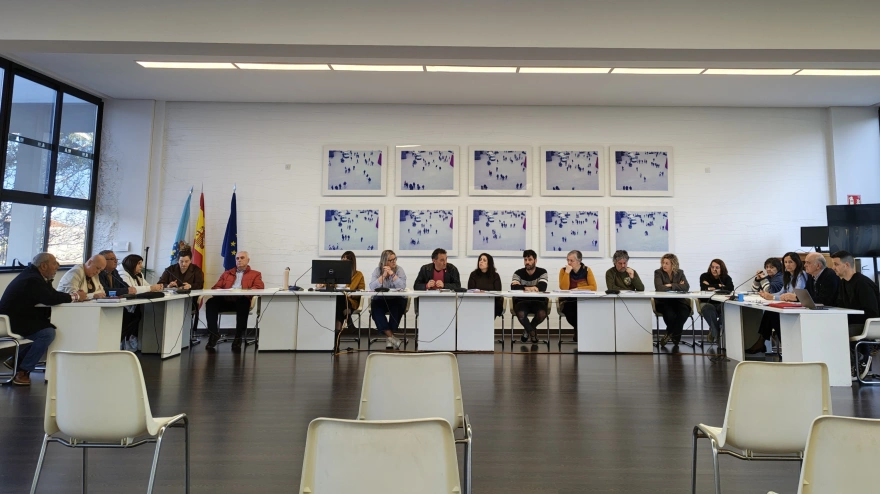 Un momento del pleno celebrado este lunes en Fene