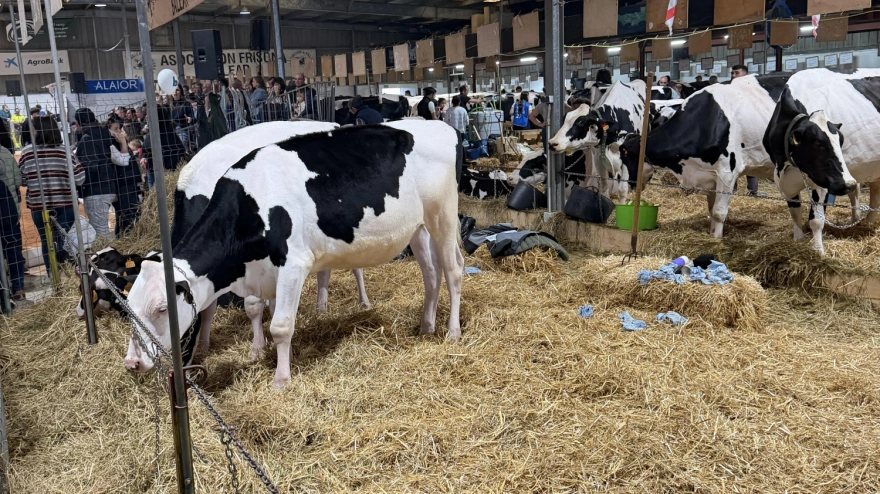 Fira del Camp de Menorca 2026