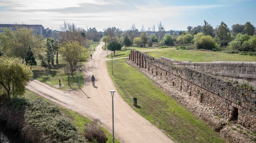 Las borrascas dejan un balance de 491 árboles afectados en Mérida
