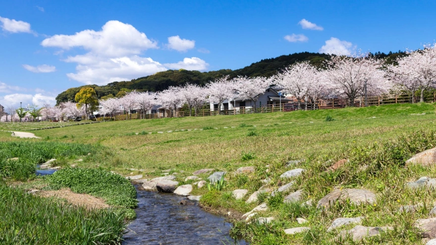 Después de un invierno caluroso, seguimos en la misma línea para los próximos tres meses de primavera