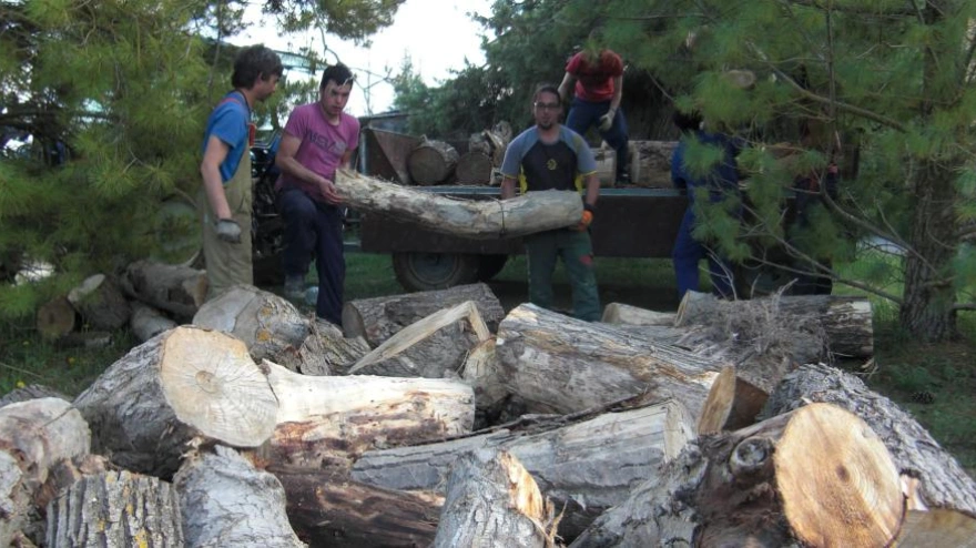 Prácticas de gestión forestal en el IFA de Jaca. Archivo