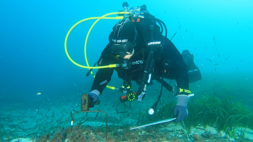 posidonia cala blanca