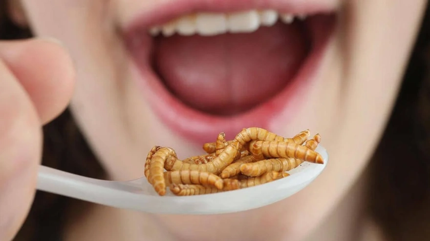 Cada vez más personas se apuntan a la comida de insectos