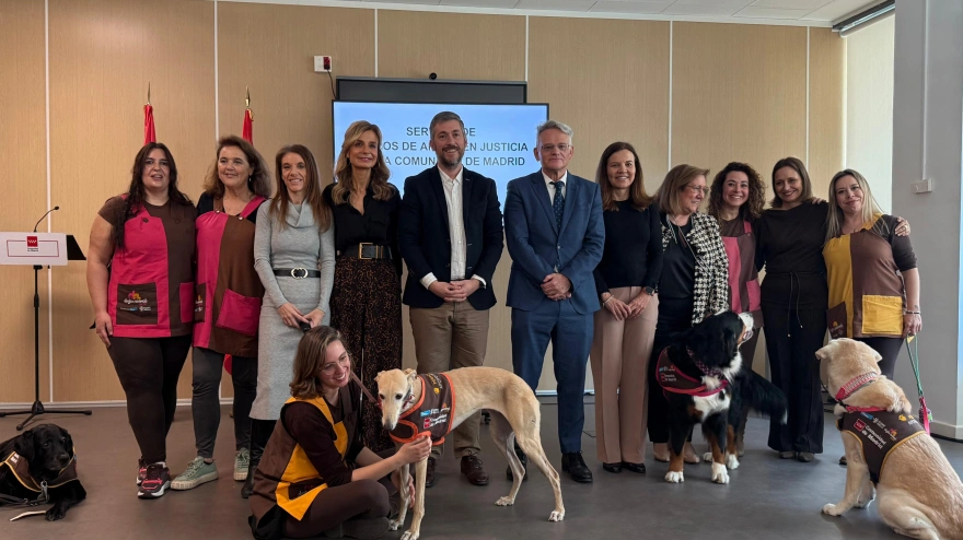 Perros terapeutas en los juzgados de Madrid: el ‘ansiolítico natural’ para los niños víctimas de violencia