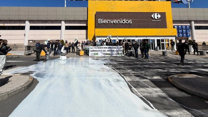 Los ganaderos derraman leche en protesta por la ruina del sector