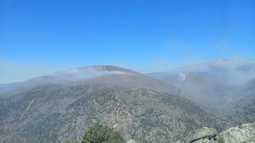 Incendio forestal de Losar de la Vera