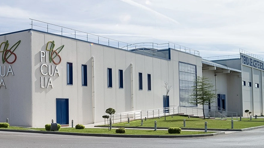 Picualia lleva a Jaén a lo más alto: consigue el premio al mejor aceite de oliva de España