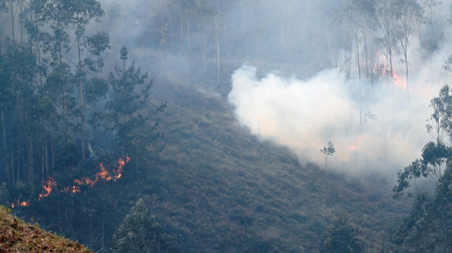 Imagen de archivo de un incendio forestal en Llanes (Asturias).