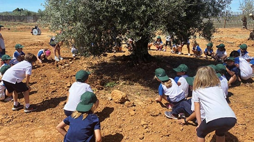 visitas-centros-educativos-Olivia