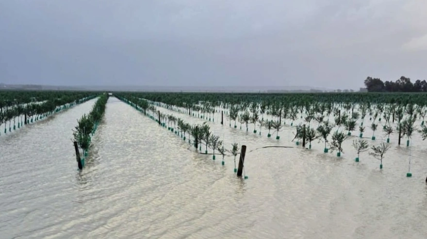 José Luis Ramírez, Secretario General ASAJA Cádiz | Ayudas tren de borrascas