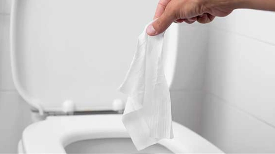 No se deben tirar las toallitas húmedas al inodoro porque no son biodegradables