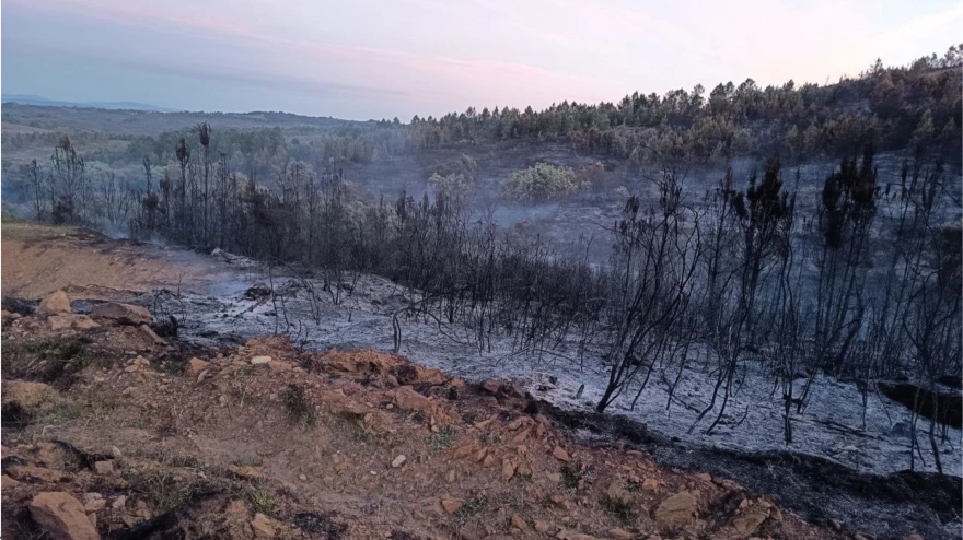Incendio forestal en Acebo