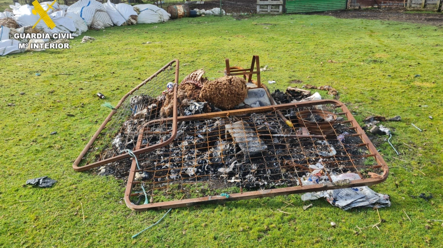 Animales muertos en explotación agraria