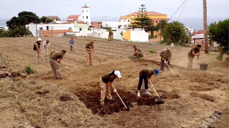 Un joven con TEA supera sus prácticas en Palencia tras ser rechazado en León