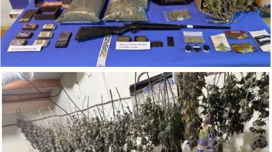 Desmantelan un sofisticado laboratorio de marihuana en una nave industrial de Ponferrada (León)