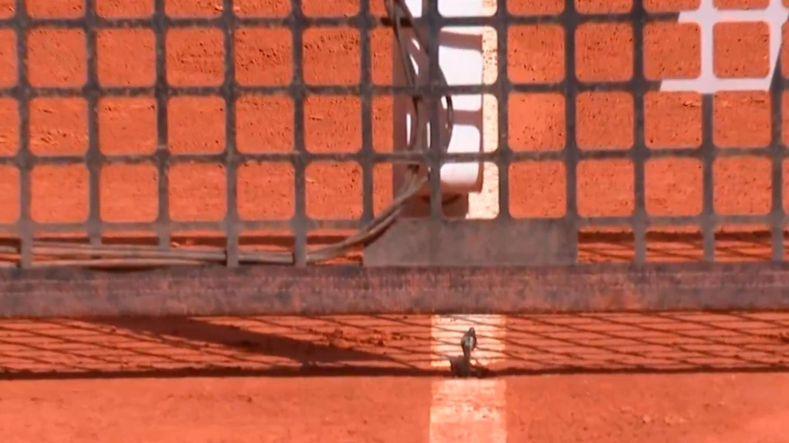 La red rota durante el Ruud-Davidovich