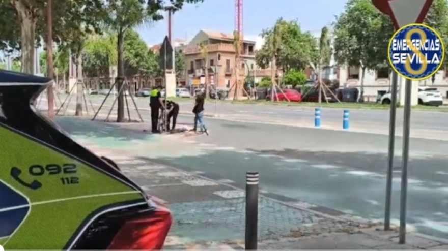 Fotograma del vídeo de la Policía en el lugar del atropello.