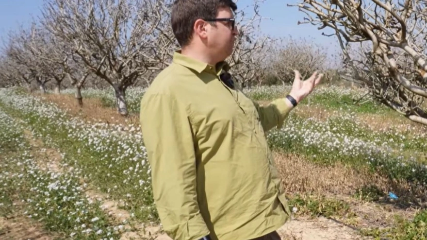 Josep, empresario del pistacho