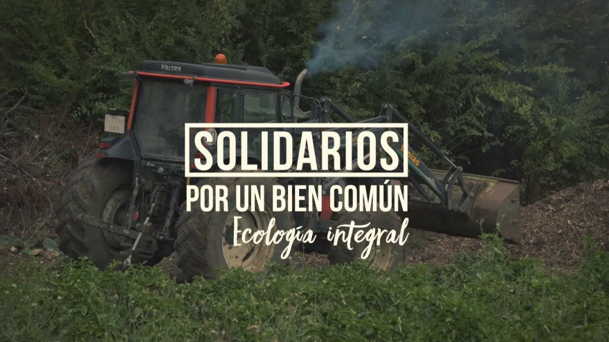 Solidarios por un bien común, 16 de mayo de 2026: ecología integral