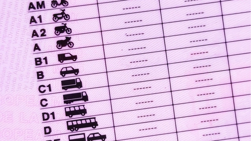 Carnet de conducir español