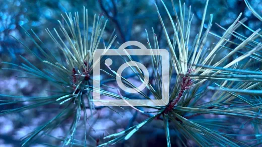 Tormenta en Sabiñánigo