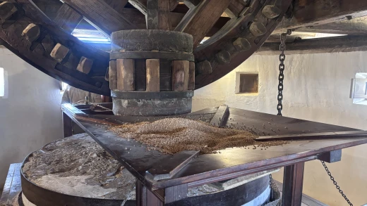 Maquinaria molino Burleta