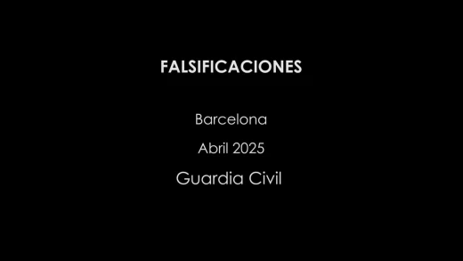 Operativo por el que la Guardia Civil ha decomisado el material falsificado en Badalona