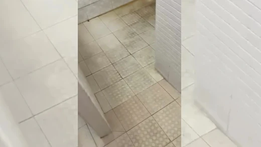 Duchas sucias y cucarachas en ellas