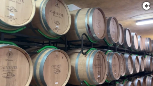 Rania Calvente en COPE: "Mi padre comenzó haciendo vino para el"