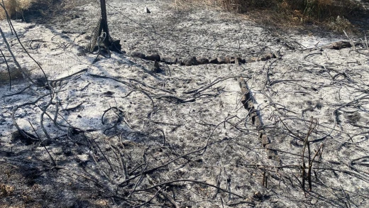 Terreno quemado, cenizas, en el incendio de Carballeda de Avia (Ourense)