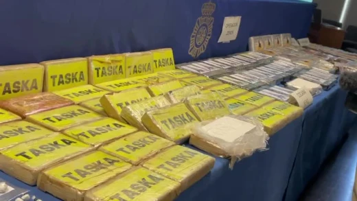 Material incautado en la Operación Zenon