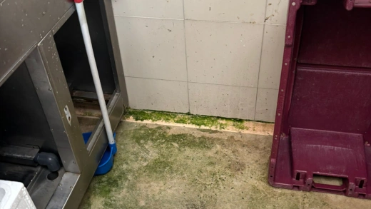 Así encontró Carlota el puesto adjudicado en San Agustín