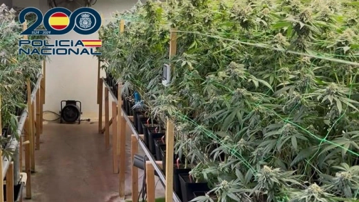 Así operaba la pareja que cultivaba más de 700 plantas de marihuana en un polígono de Ponferrada (León)