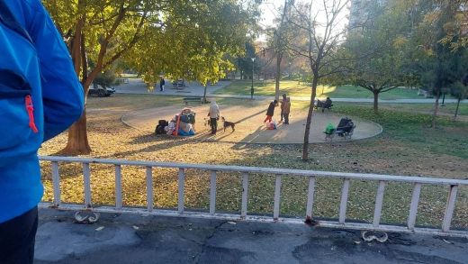 Así ha sido el desalojo del Parque Bruil de Zaragoza
