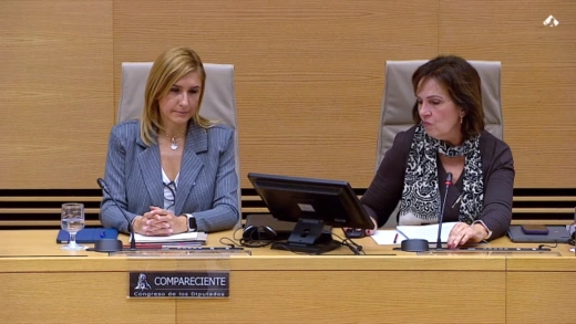 Salomé Pradas en la Comisión del Congreso
