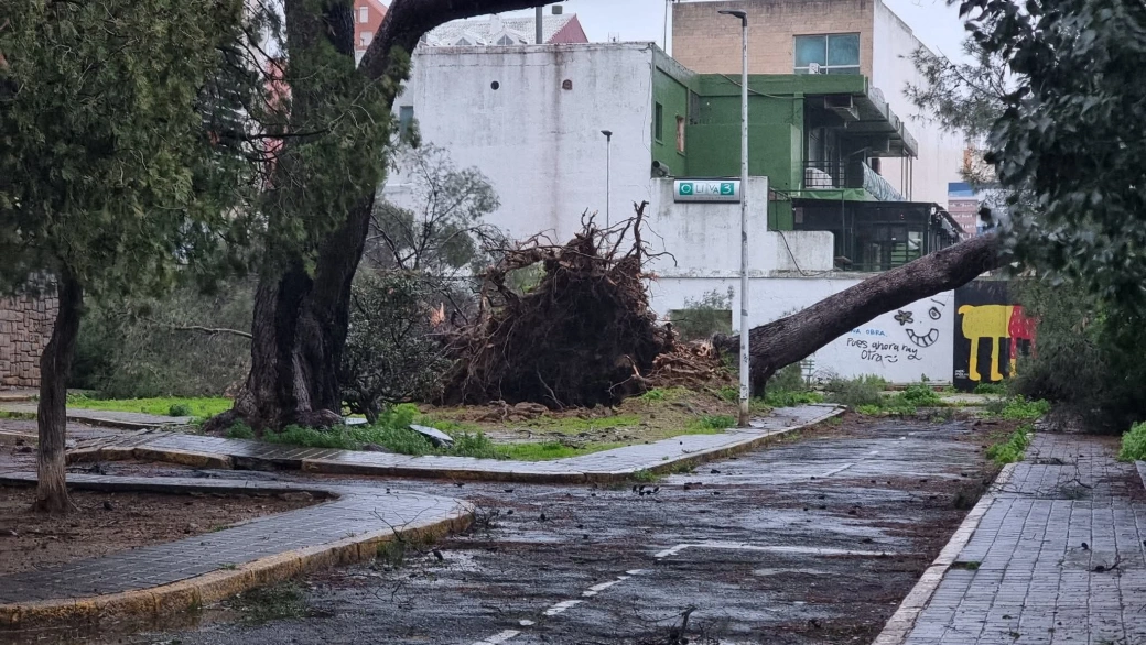 Plaza del Velódromo