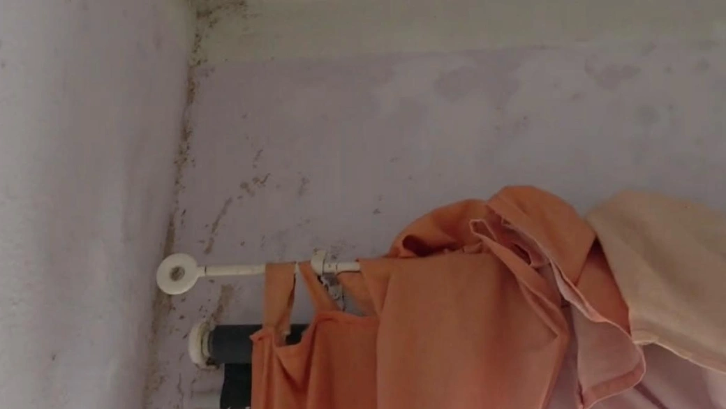 Estado de viviendas de La Paterna