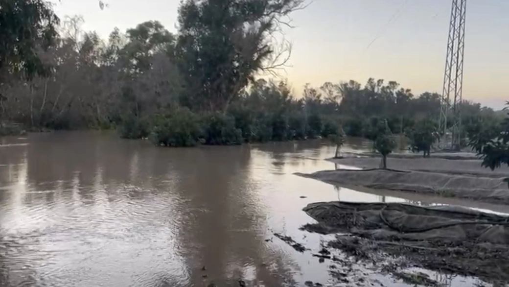 Alberto Sánchez, Coordinador Servicios Técnicos de ASAJA