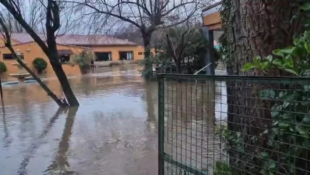 la policía local ha procedido a evacuar la Chopera,
