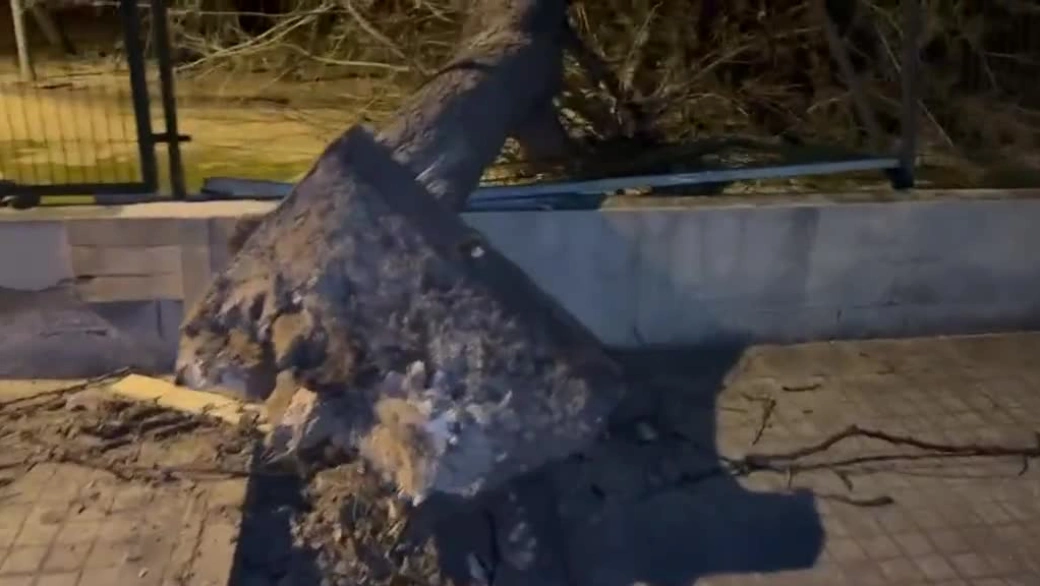 En el entorno de la Avenida de la Plata