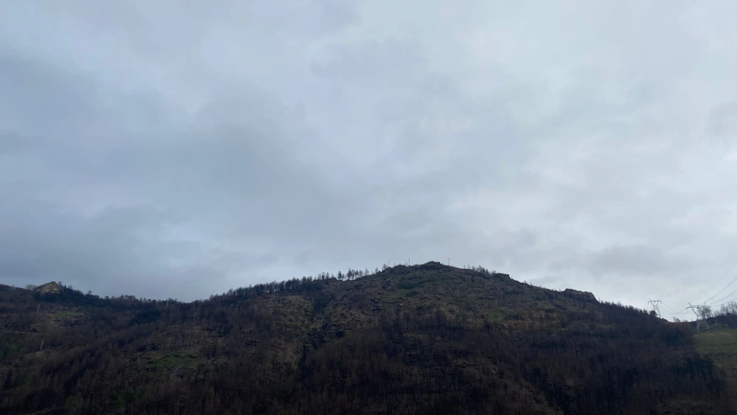 Así están los montes de Sadur seis meses después del devastador incendio de Larouco