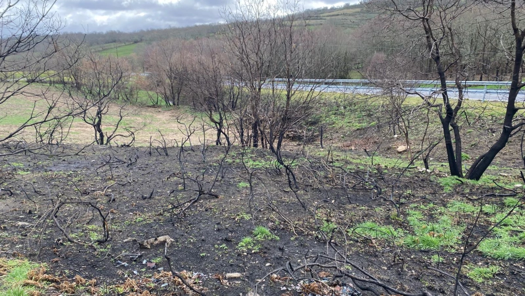 El paisaje en Chandrexa de Queixa (Ourense), seis meses después del incendio