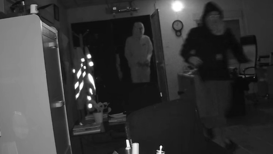 Cae el líder de la banda que asaltaba chalets en el Aljarafe haciéndose pasar por policías