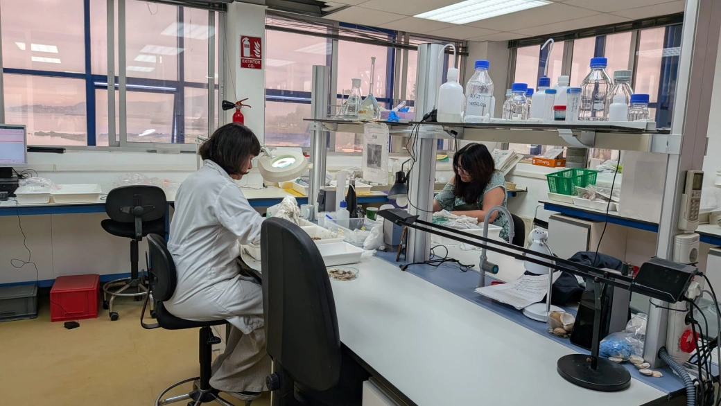 El CIMA estudia el salmonete en cautividad